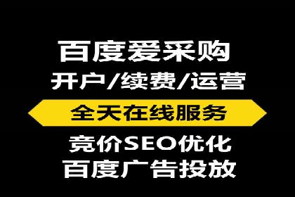 网络推广中竞价广告的投放策略及成功案例